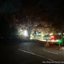 기분 좋은 자동차 | 전남 광주 | 자동차극장 먹방 주토피아2 후기