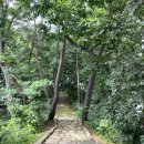 세븐일레븐 양평덕수리점 이미지