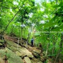 [여름추천 산행] 유명산 - 수도권 계곡산행, 대중교통, 종점가든 식사