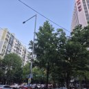 고메램 | [여의도] 양고기 맛집 고메램, 프렌치랙 살치살 양설 내돈내산 후기! 고급양고기집에서는 양꼬치를 팔지...