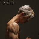Fly Bull 이미지
