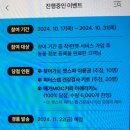 펫가
