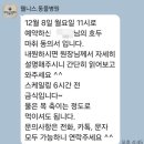 웰니스동물병원(수완점) | 광주 수완 <웰니스동물병원 수완점> 고양이 스케일링 내돈내산 강추후기