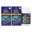 에버그린 이미지