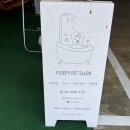 페트롤스테이션