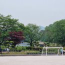 월촌초등학교 이미지