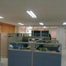 수정-137 이미지