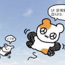 다옴찬