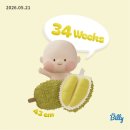 강북제일식품 | [임신후기] 34~35주차 : 출산휴가, 강북삼성병원 진료(비용 포함), 막달검사, 산후조리원 지원금 정리...