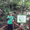 멀리서 왔는데 그냥 돌아 가라고? - 삼척 도계 오봉산(729m)~남산(574.7m) 산행 및 검룡소 탐방 이미지