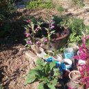 초록별민박 이미지