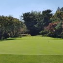 베네스트 이미지