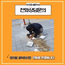 주정차37 이미지