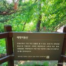 진경산수화길 이미지