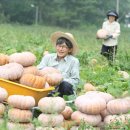 참샘골농장 Daum카페
