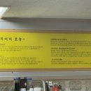 광장복어 이미지