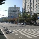 사파동113 이미지