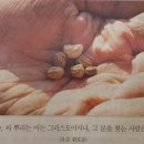 바라보다행신점 이미지