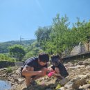 수피아호스텔 이미지