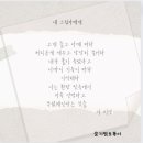 서미영 카카오 검색결과