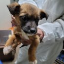 신장로90번길 이미지