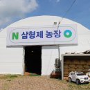 삼형제농장 | 울산 애견운동장 내돈내산 삼형제농장