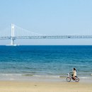 이제 부산 이미지