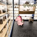 한라산생약 | 제주 서귀포 가볼만한곳 실내 생약누리 후기 맛집 추천