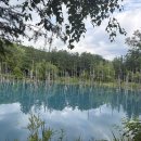 (유)스타관광 | [삿포로 여행] 7월 초 청의호수, 흰수염폭포, 패치워크의 길 🏞️ 절경 후기