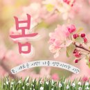 채색화 초급 | [공지] 봄, 새로운 시작!나를 성장시키는 시간
