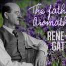 몸과 마음의 균형, 아로마테라피 이미지