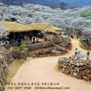 하의 큰바위얼굴 이미지