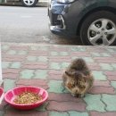 풀꽃화실