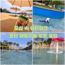 패밀리 워터파크 | 동탄 패밀리풀 워터파크 유수풀 수영장 후기, 예약 방법,주차,준비물