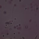 나랑동물병원 이미지