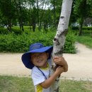 배영유치원 이미지