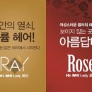 하이모레이디