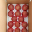 윤서농장 이미지