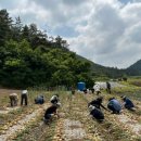 영광축산 이미지