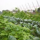 샤론통상 이미지