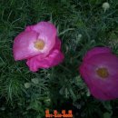 광교더로프트-주차장 이미지