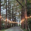 병기목장 이미지