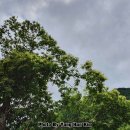 소문난식당 이미지