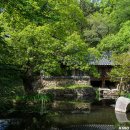 남간정사 이미지