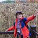 호수공원수변공원 이미지