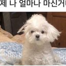 역전할머니맥주김해