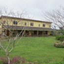 제주 자락 이미지