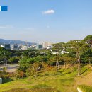 죽림서정이네 | &lt;전시회리뷰&gt; 대구 간송미술관 &#39;화조미감&#39; 전시 보고 왔습니다