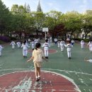 빛나라유치원 | [야외 공개 수업 후기] 제자들이 피운 한 송이, 한 송이 봄꽃처럼(/익산태권도/영등동태권도/어양동태권도)