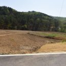 금사참약국 이미지